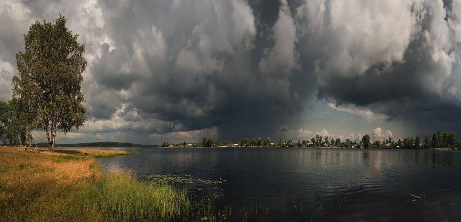 кирс, Денис