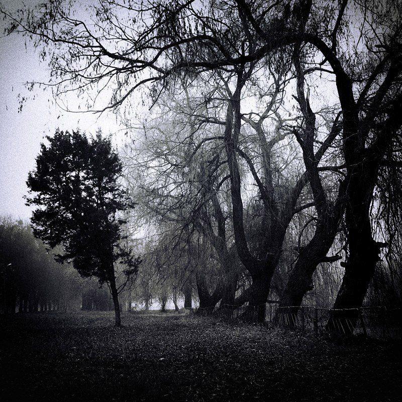 The One фото превью