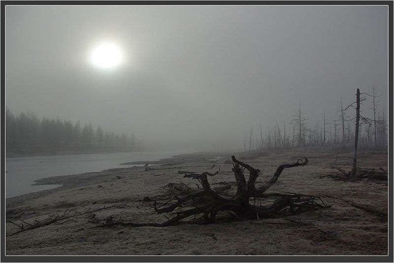 Предзимье фото превью