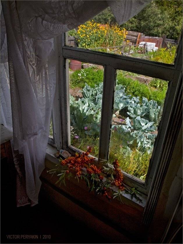 , Виктор Перякин