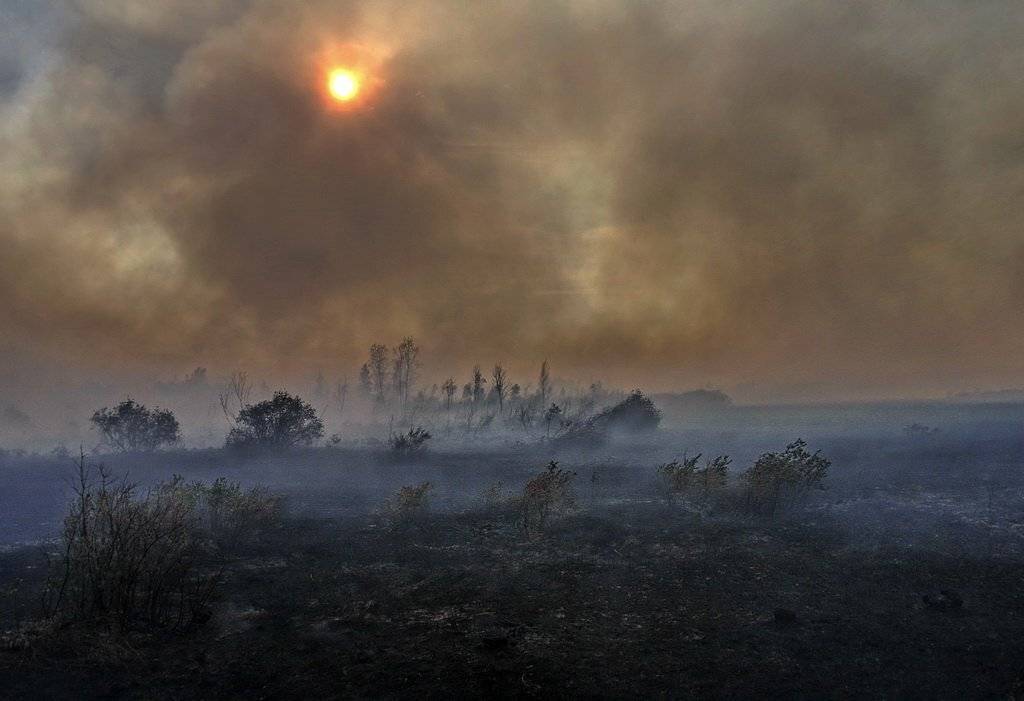 , Васенин Валерий