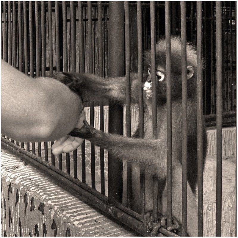 О!!! Ролех!!! Как же они растегиваются..... фото превью