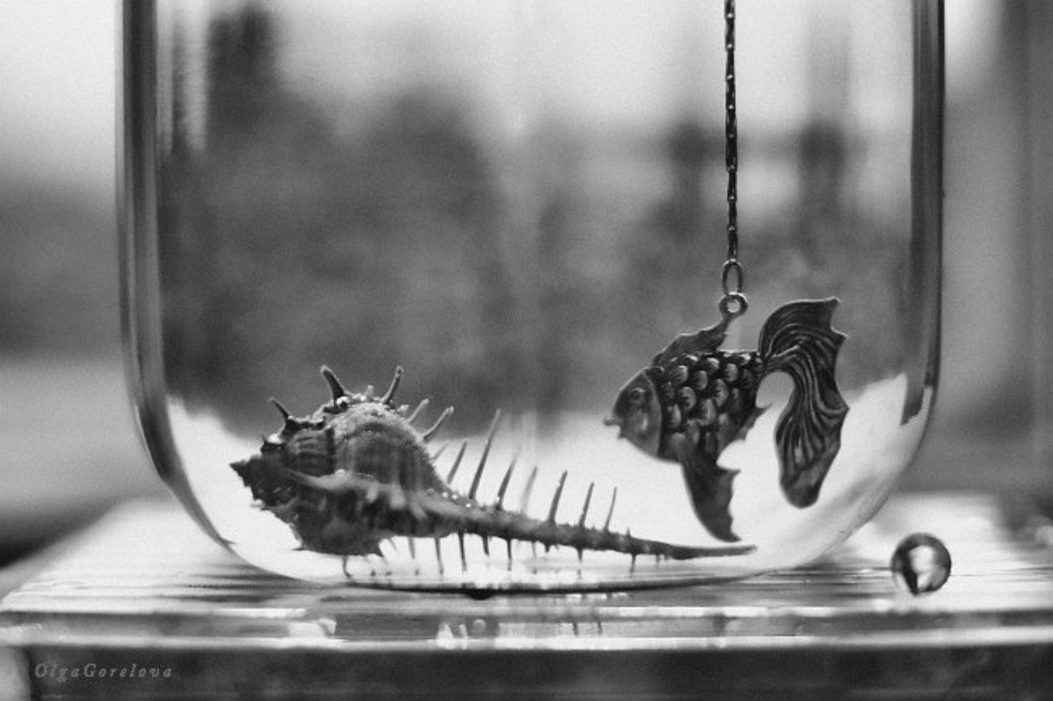 sea, heat, water, glass, silver, fish, фото, стекло, море, рыба, натюрморт, Ольга Горелова