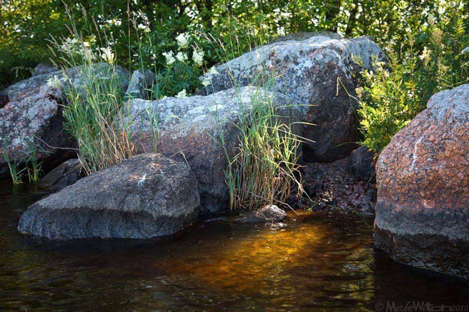 , Максим Малевич