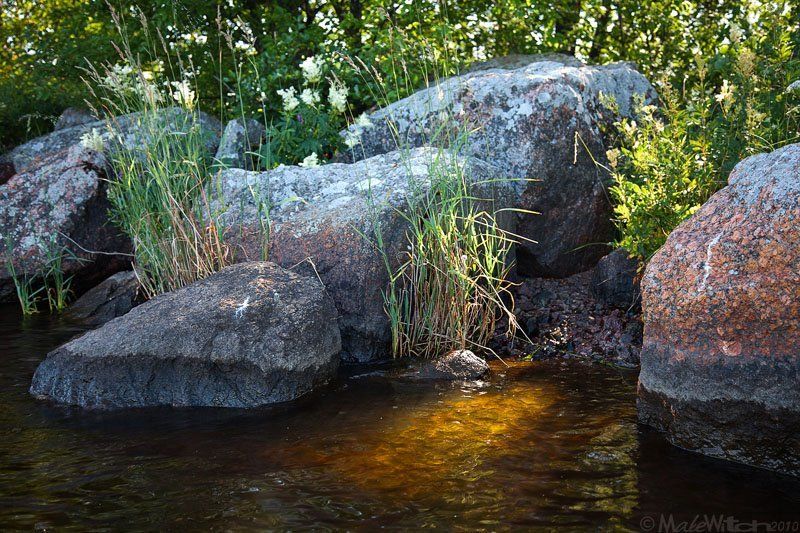 Here comes the sun фото превью