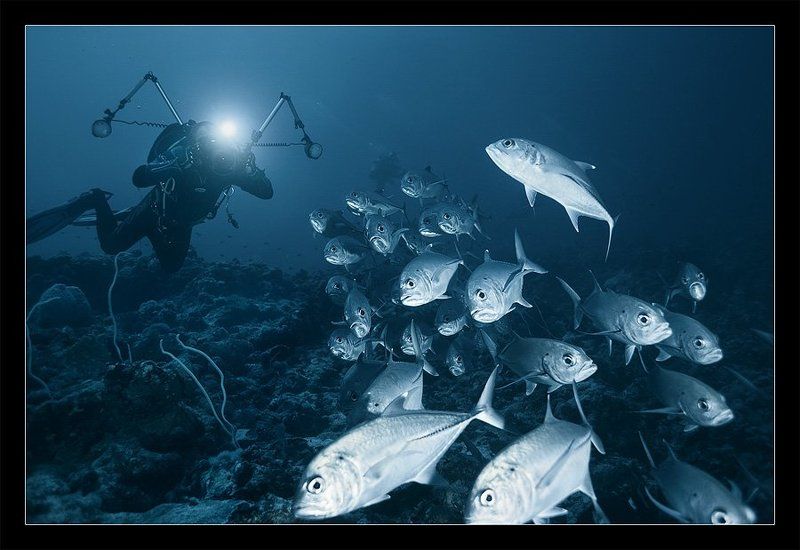 А!!! Спасайтесь кто может! фото превью