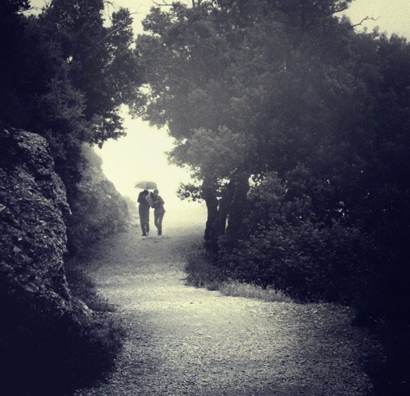 Хокку о дожде фото превью