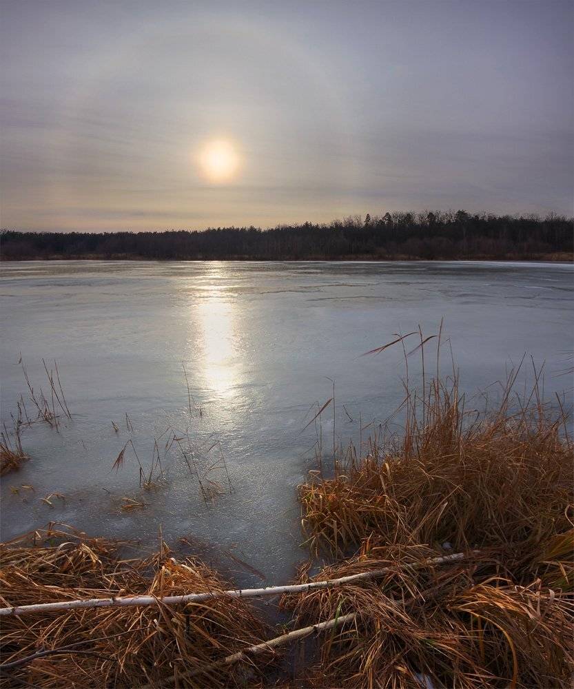 тетерев, зима, Артём Маковский