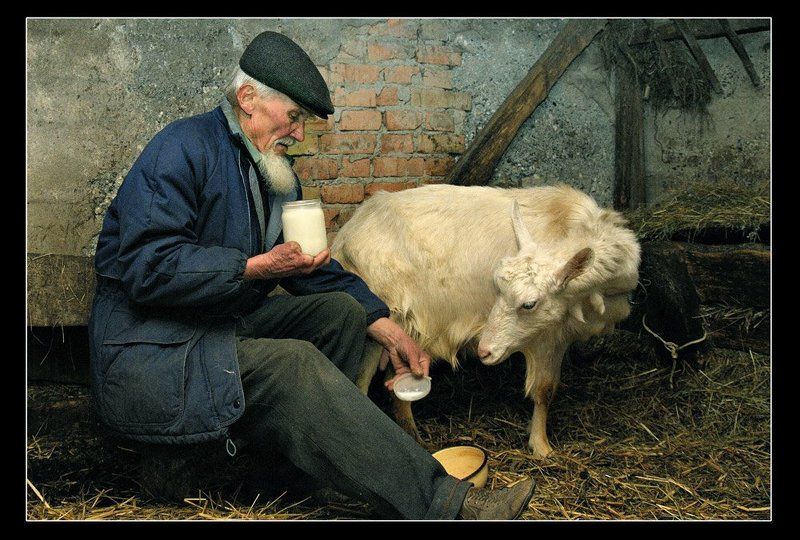 ***  фото превью