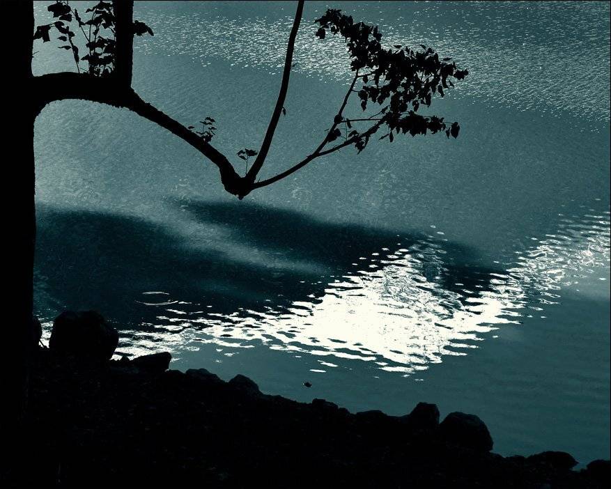 абхазия, Тарасов Алексей