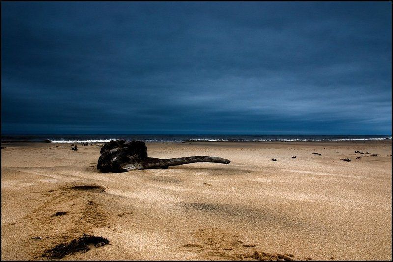 геометрия дерева фото превью