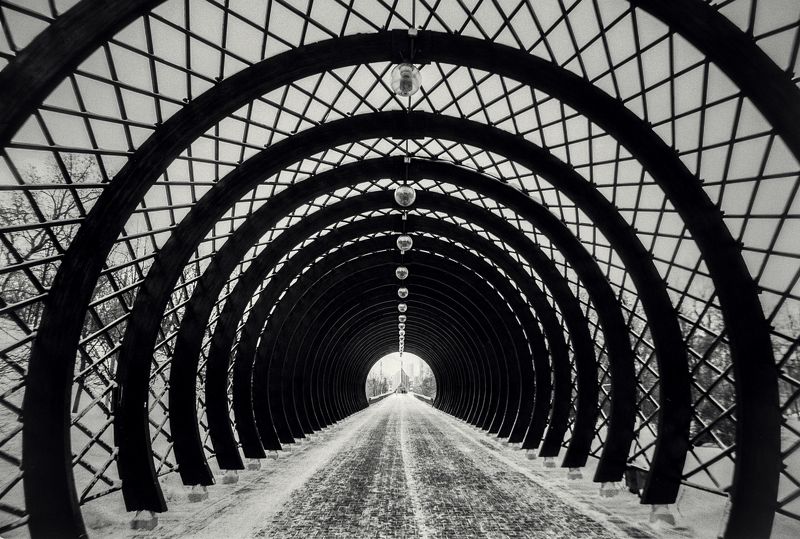 Пушкинский мост фото превью