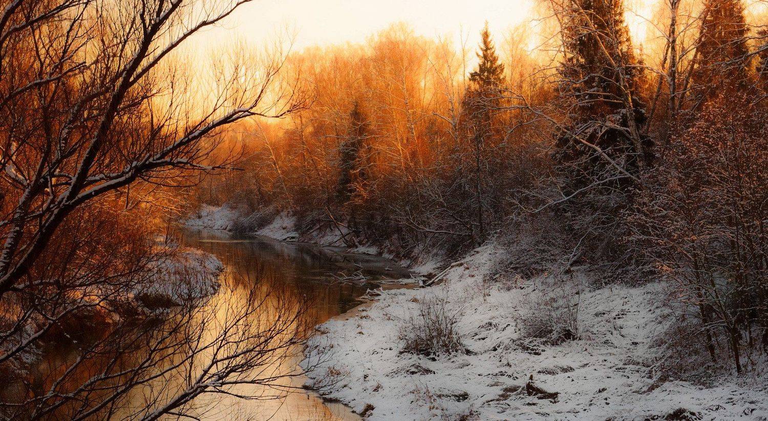 , Александр Пархоменко