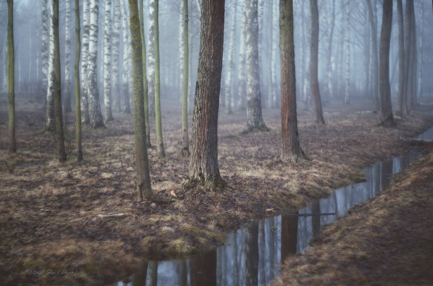 царскоесело, царское, весна, пушкин, спб, питер, туман, рассвет, Таня SHE (Aiya)