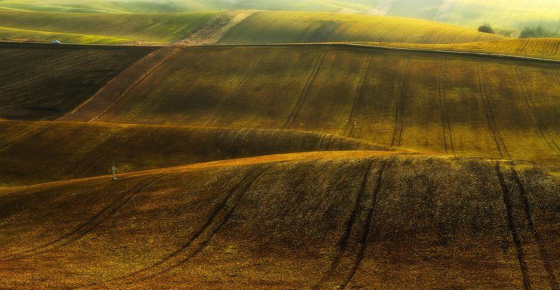 On the Fields... фото превью