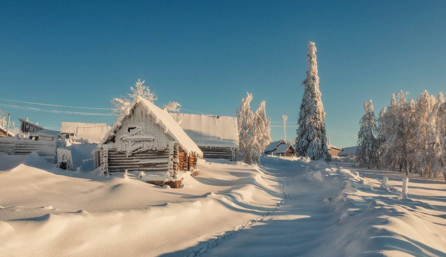 белогорье, Владимир Липецких