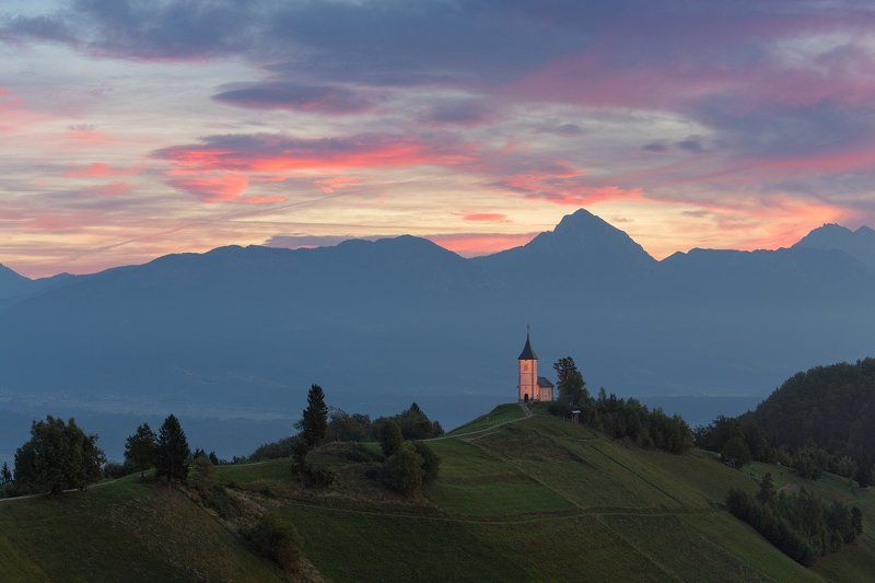 Jamnik фото превью