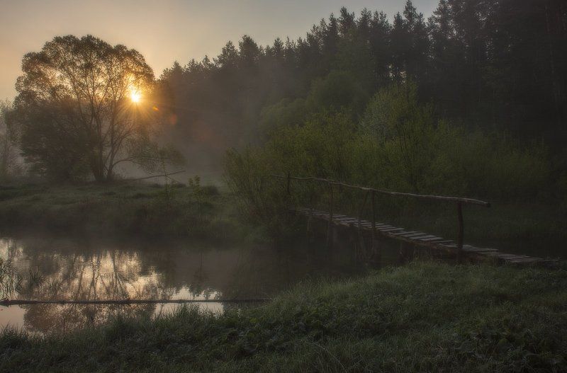 Весеннее утро... фото превью