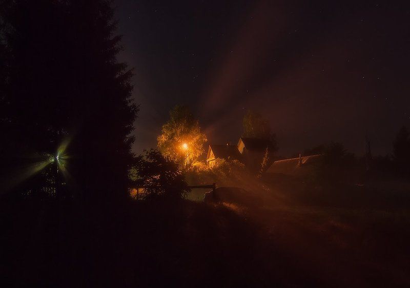 Под покровом ночи... фото превью