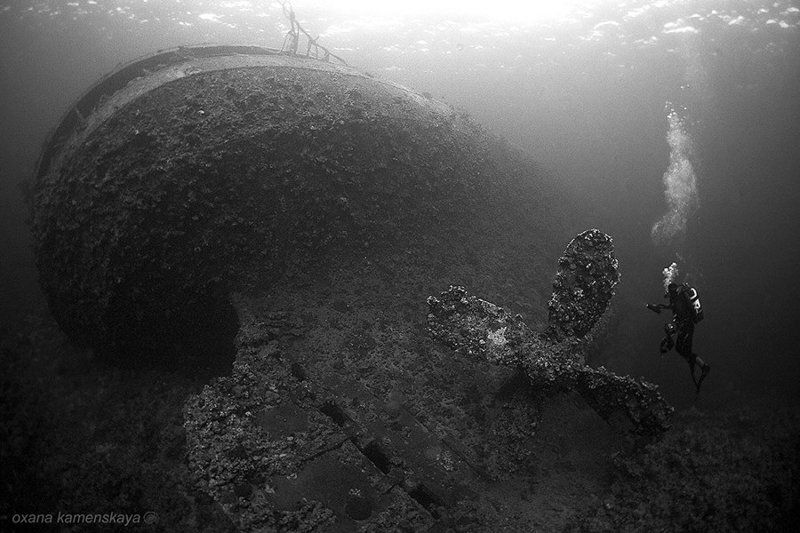 underwater wreck  The Umbria. Винт. фото превью