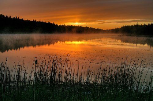 Утро туманное