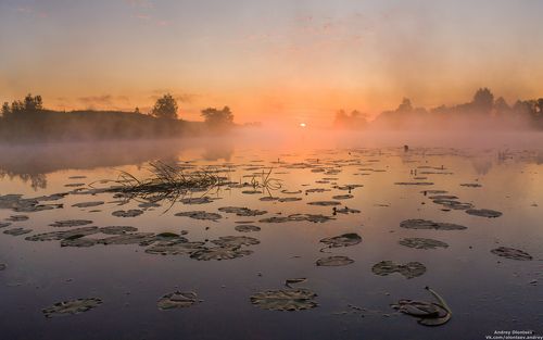 Нежным утром.