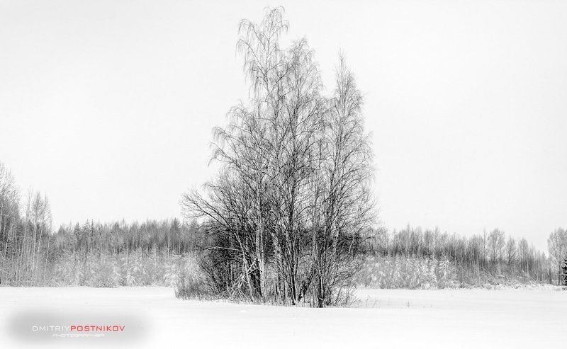 Зима, Пейзаж, Природа, Снег, Черно-белое Минимализма пост. фото превью