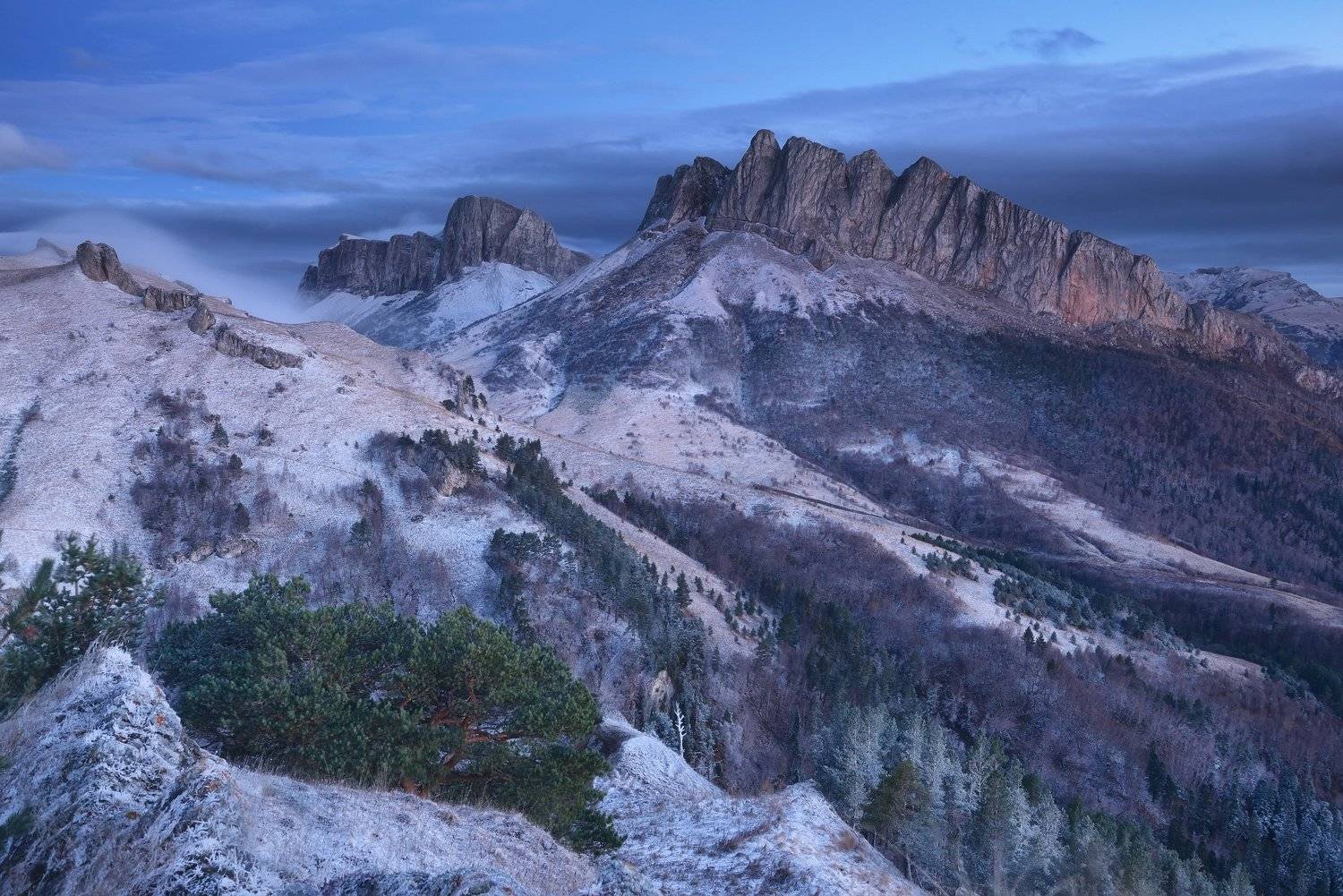 , Максим Евдокимов ( www.wildphotorus.ru )