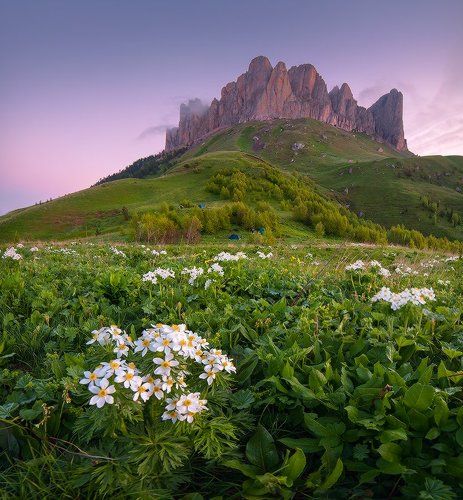 Предрассветная