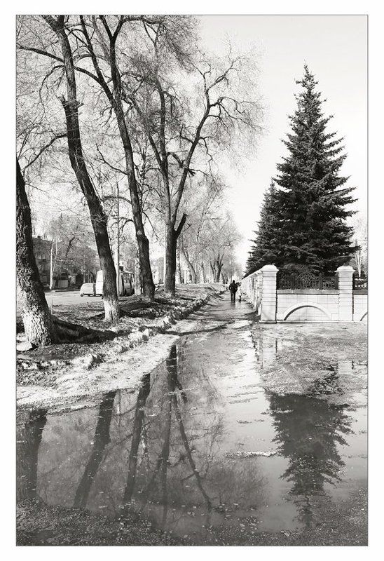 весна, март, черно-белое Черно-белая весна. Март. фото превью