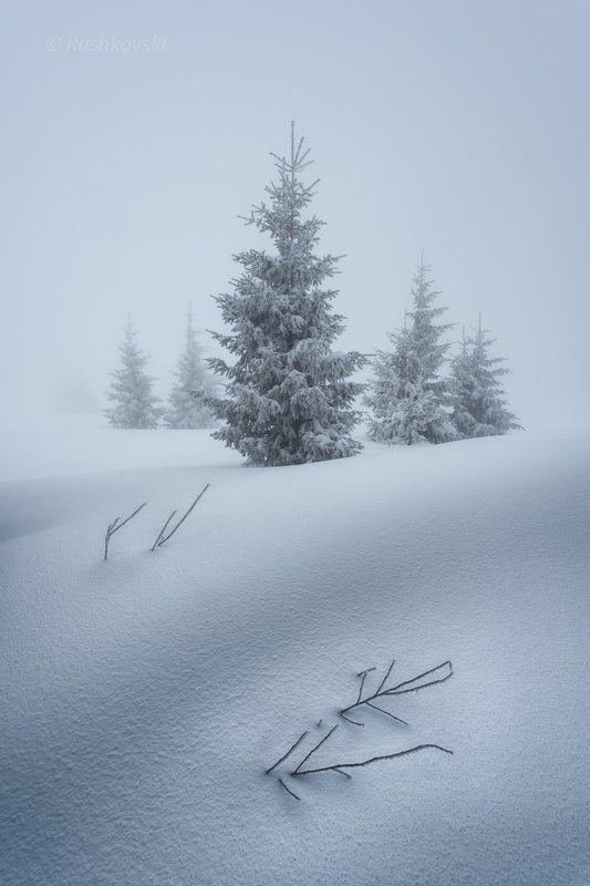 White dreams I (Ethereality) фото превью