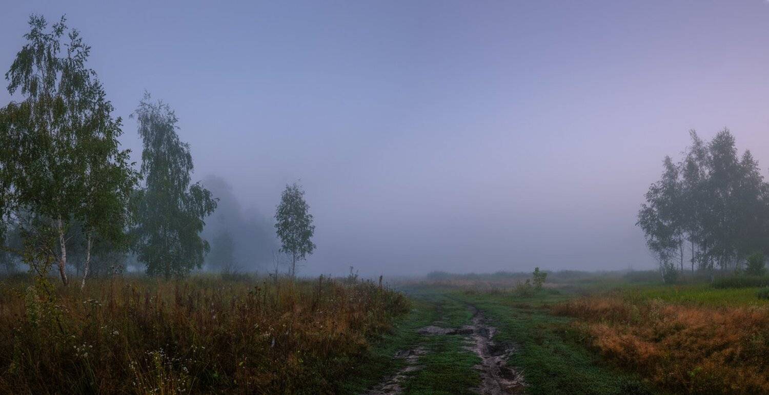 луг лето август рассвет туман, Галанзовская Оксана