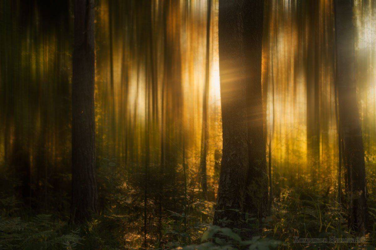 , Хохряков Николай