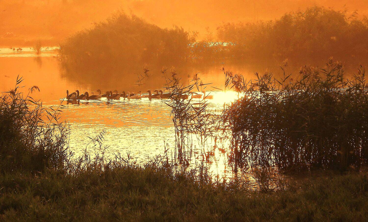 одесса, Сергей Кошелев