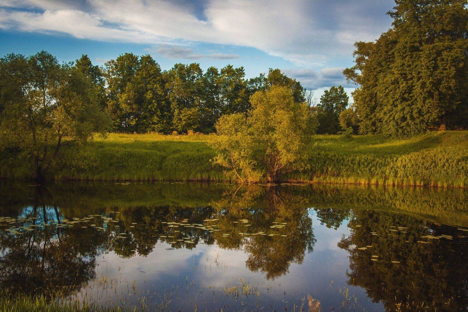 фото, природа, пейзаж, пруд, лес, гроза, лето, Екатерина