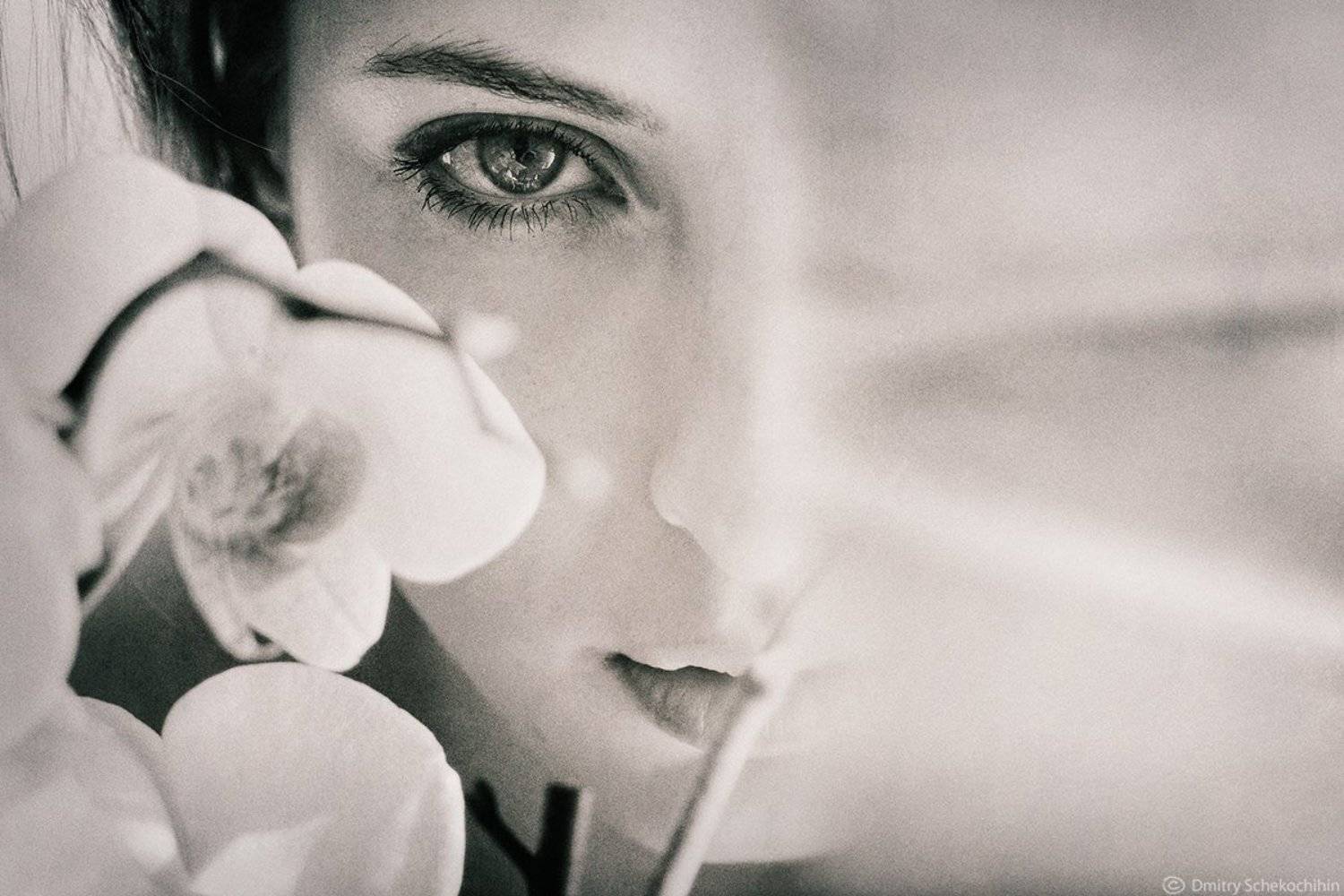 portrait bw look eyes flower, Дмитрий Щекочихин