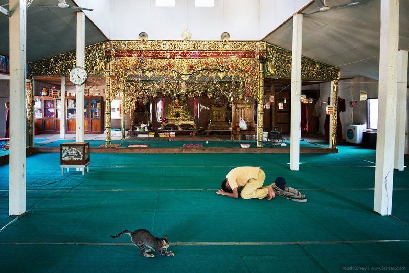 мьянма, бирма, кот, буддизм, монах, монахи, молитва, храм, молящие, ньоншуэ, temple, myanmar, burma, pray, prayers. Время молитвы фото превью