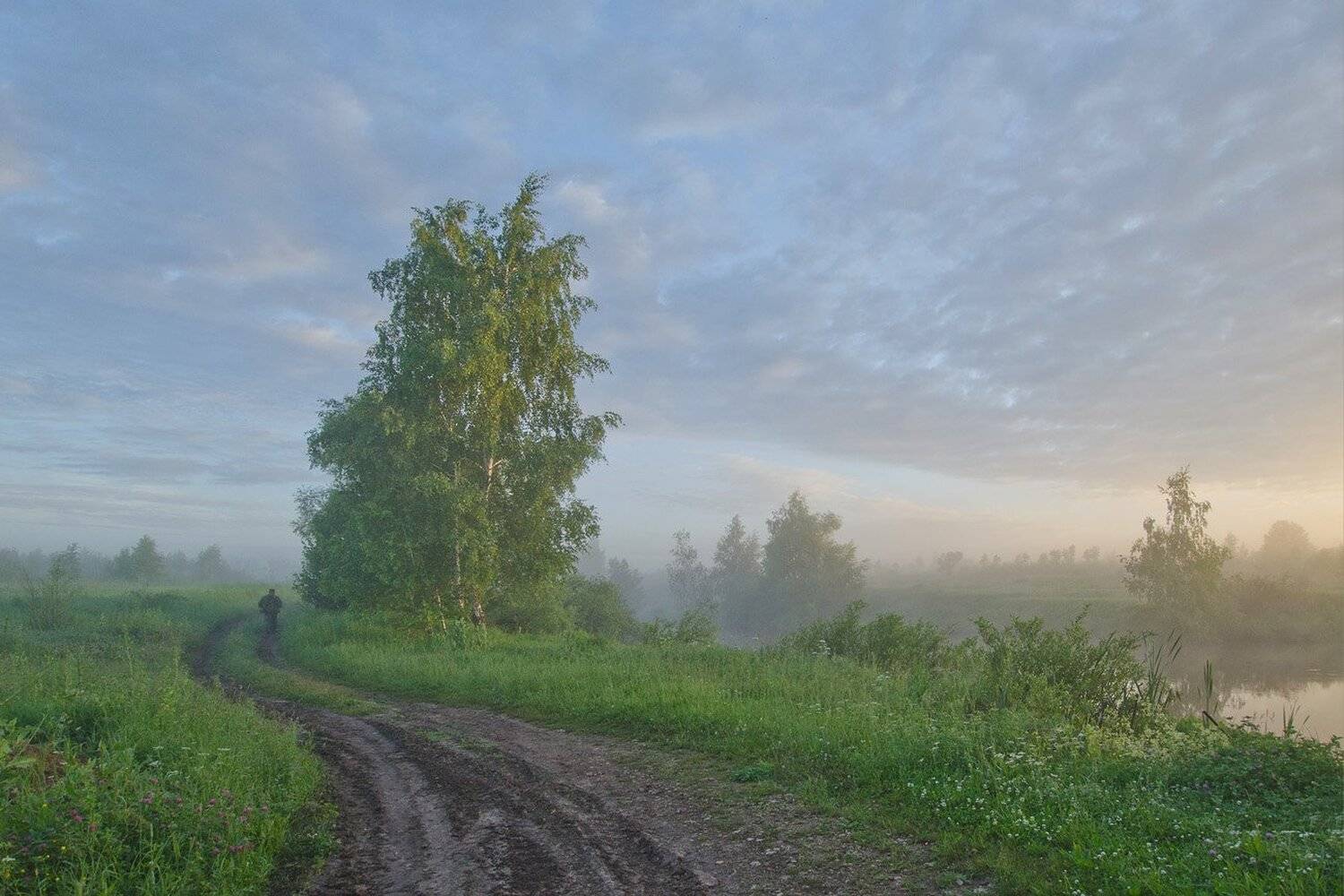 утро рассвет природа пейзаж, Михаил Агеев