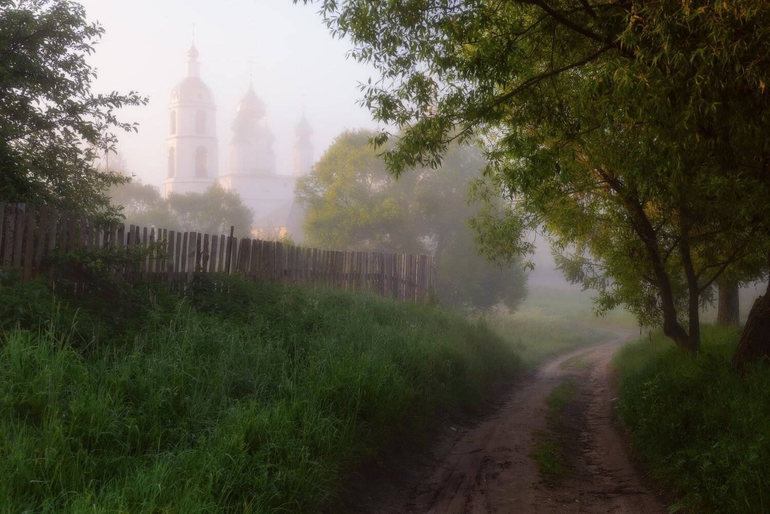 , Евгений Цап