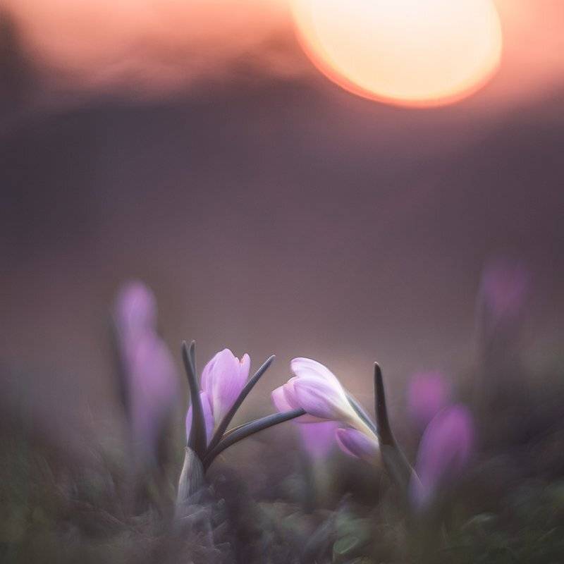 , Татьяна Аверина