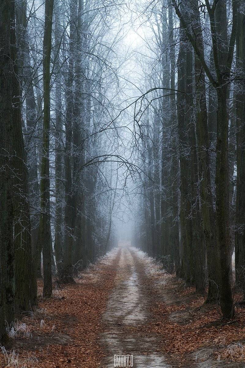 , Дмитрий Доронин