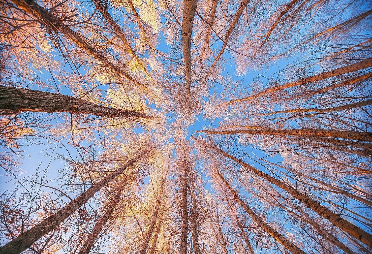 , Павел Сагайдак