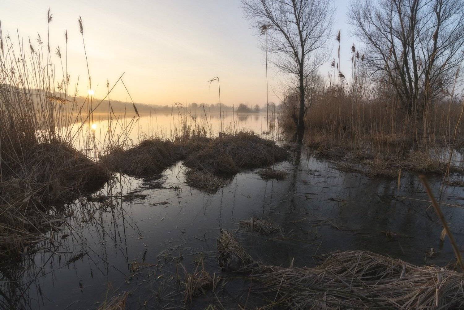, Сергей Добровольский