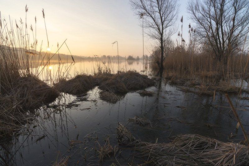 Солнечный март... фото превью