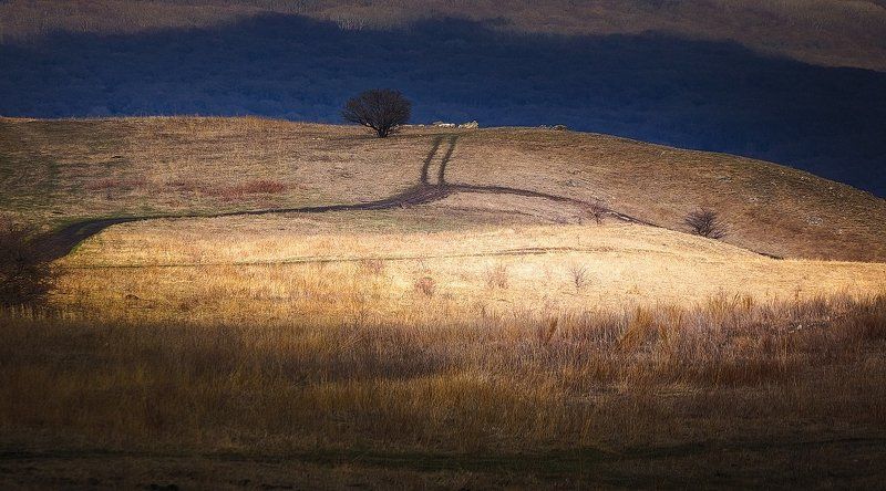 весна,ставрополье,март,пейзаж,ландшафт,ручьи,небо,облака,лучи солнца,дорога,одинокое дерево Бурая весна Ставрополья. Фотоэтюды 17 марта 2017. фото превью