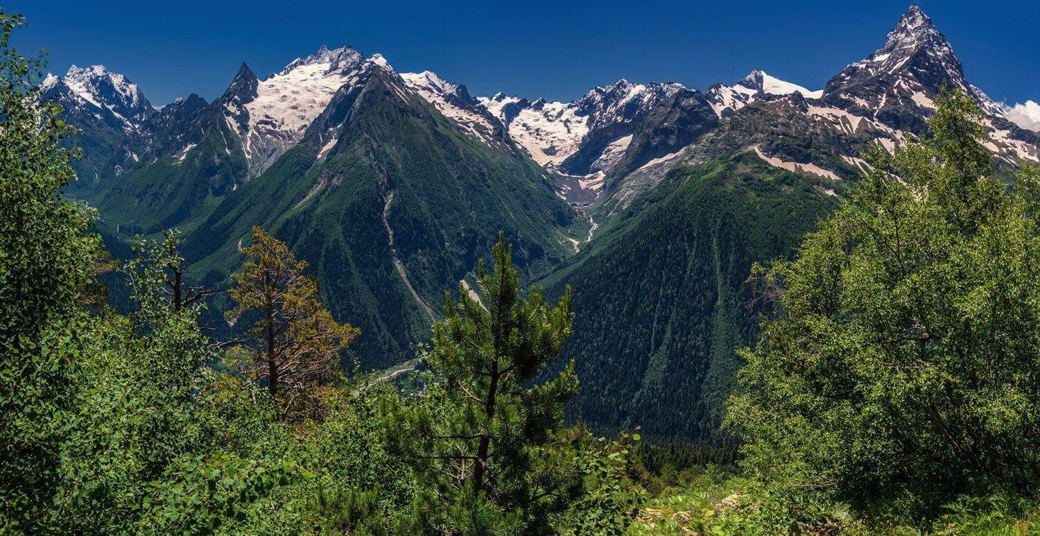 , Игорь Мелекесцев