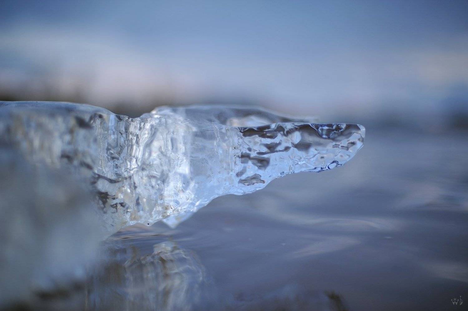 лёд, весна, Бизин Иван