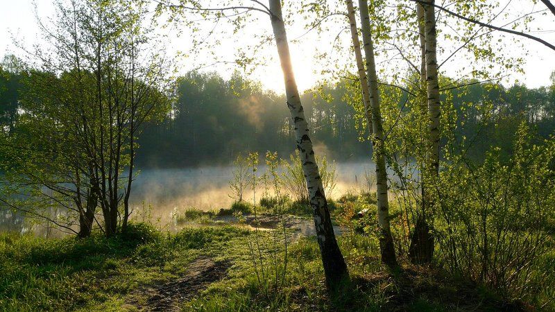 У озера фото превью