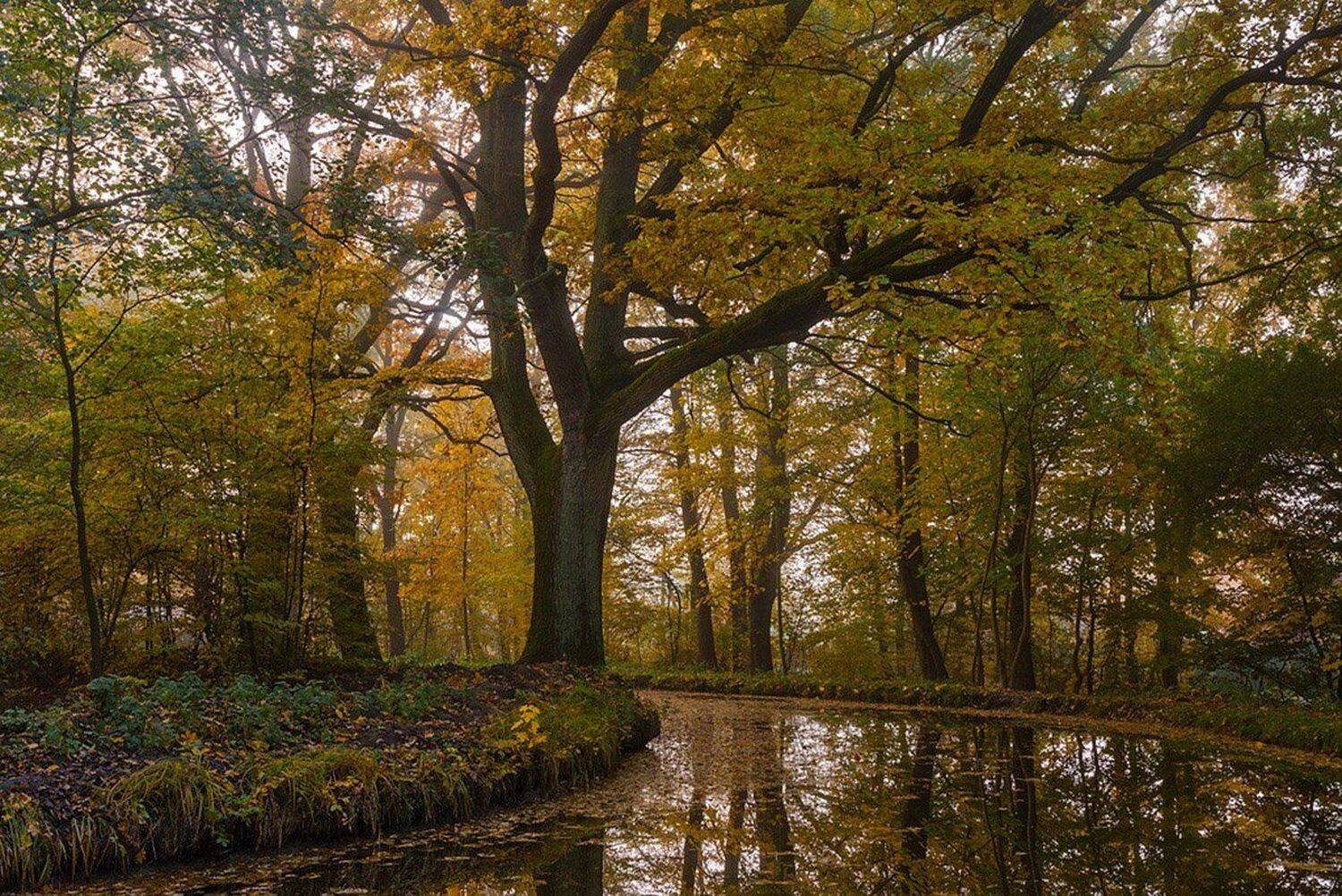 , Геннадий Новов