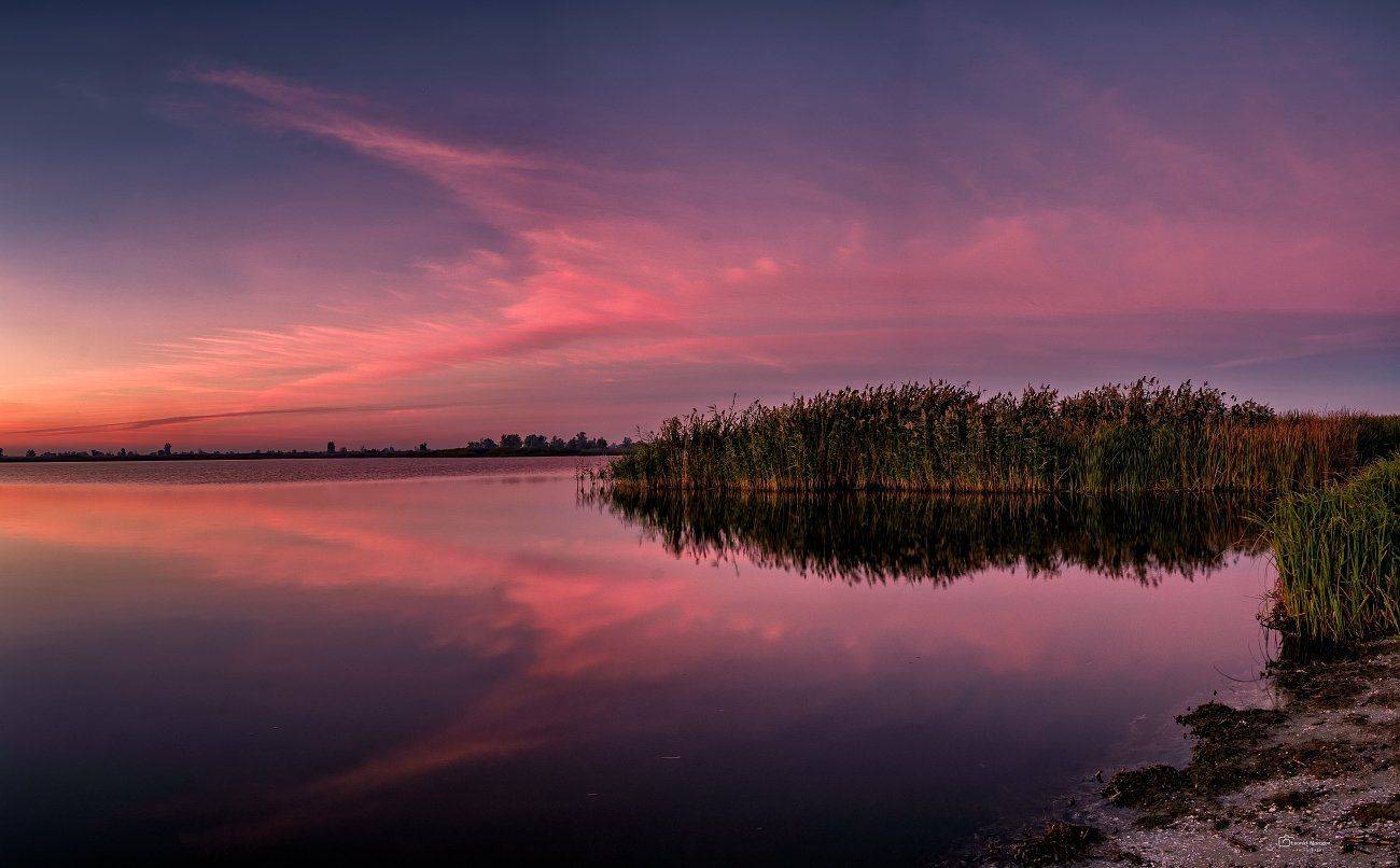 , Леонид Морозов